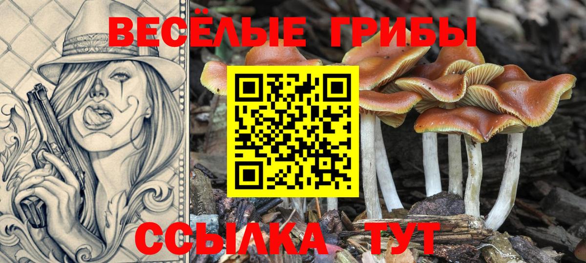 Псилоцибиновые грибы мицелий  Вход с VPN  Мичуринск 
